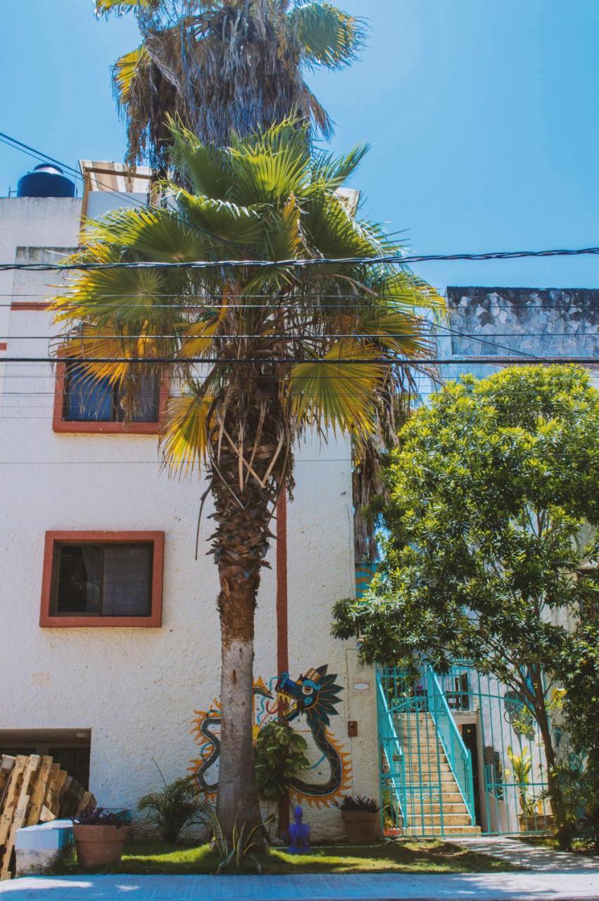 Kukulcan Hostel & Friends Κανκούν Εξωτερικό φωτογραφία