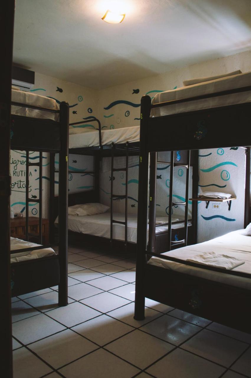 Kukulcan Hostel & Friends Κανκούν Εξωτερικό φωτογραφία