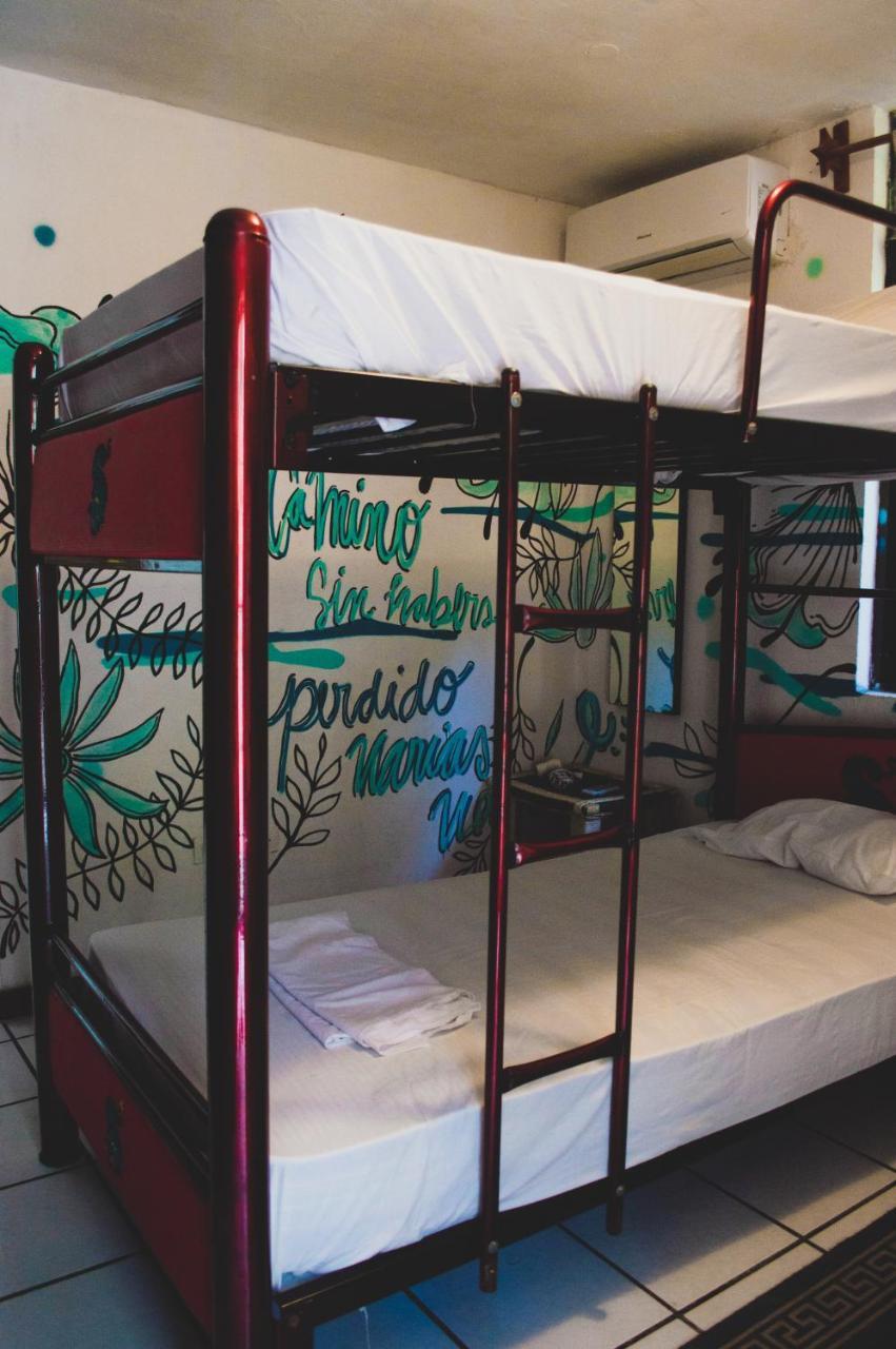 Kukulcan Hostel & Friends Κανκούν Εξωτερικό φωτογραφία